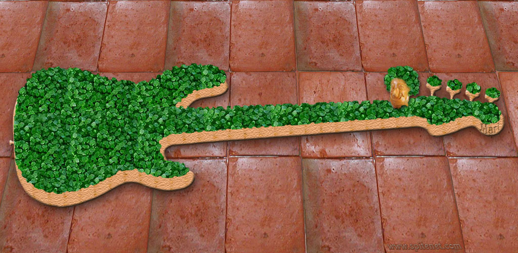 Chia Bass