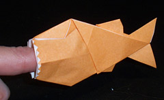 model by Jeremy Shafer