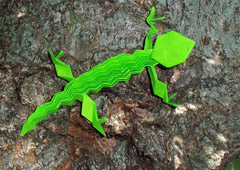 Kawasaki Lizard