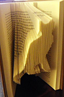 Page Folding Cat From Wikipedia Commons