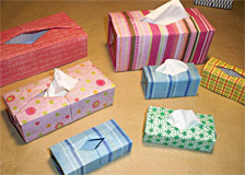 Origami Tissue Boxes