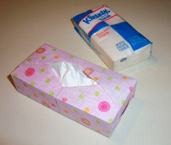 Origami Tissue Box