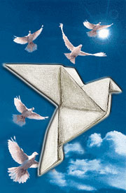 Origami for Peace