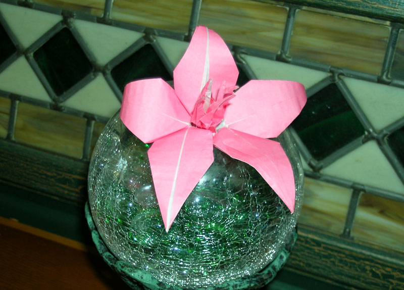 Lundberg's Origami Azalea